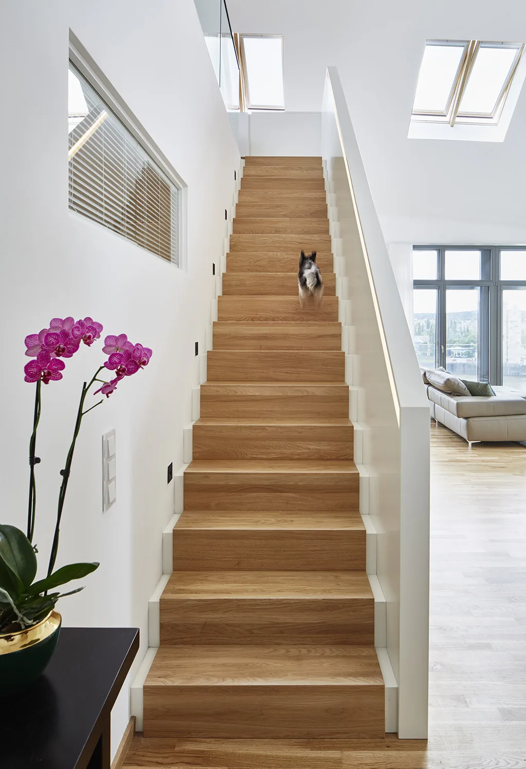Minimalist wooden staircase with skylight and orchid detail.
