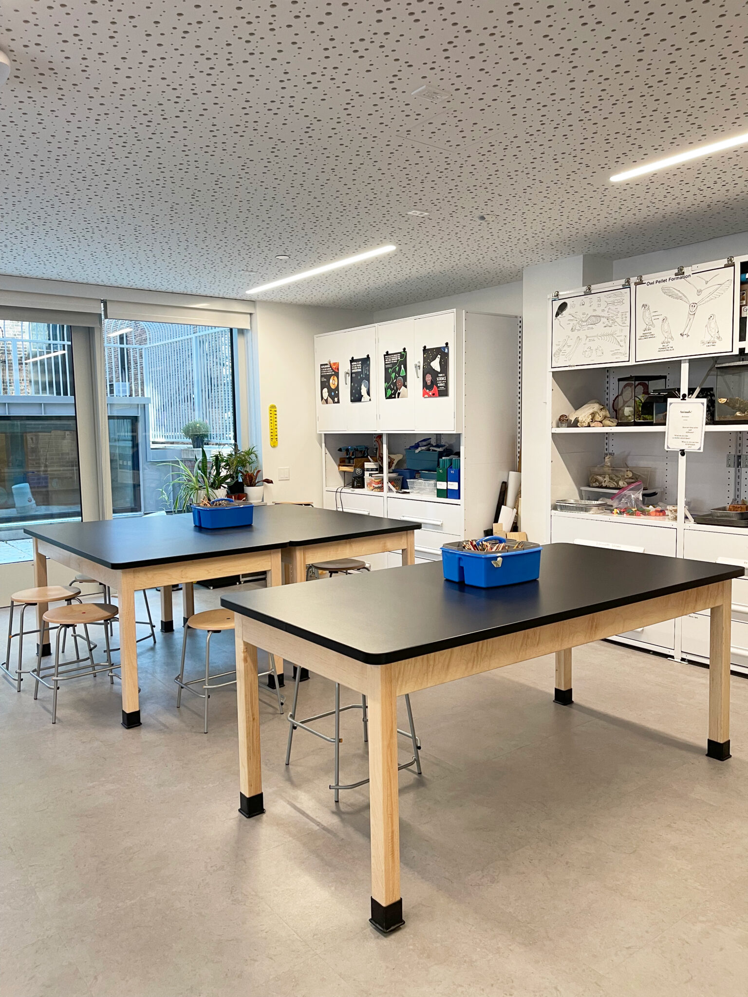 A flexible classroom supports hands-on learning with high worktables, ample storage, and natural daylight that enhances creativity and focus.